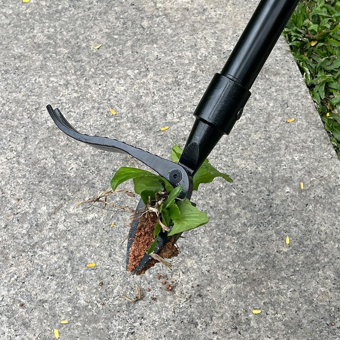 💥LAST DAY SALE 49% OFF🔥-Detachable Stand Up Weed Puller